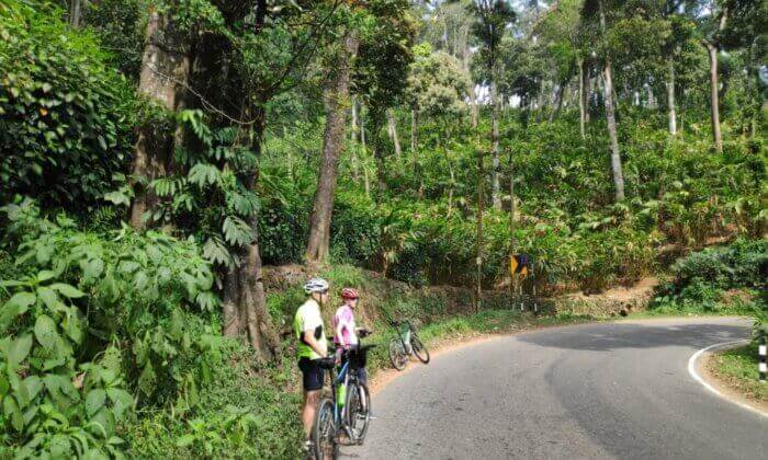 Cycling from Wayanad to Kozhikode